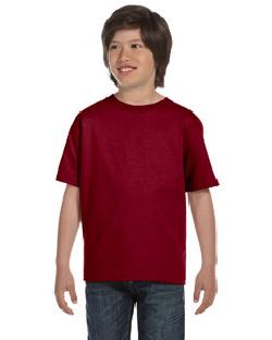 click to view GARNET